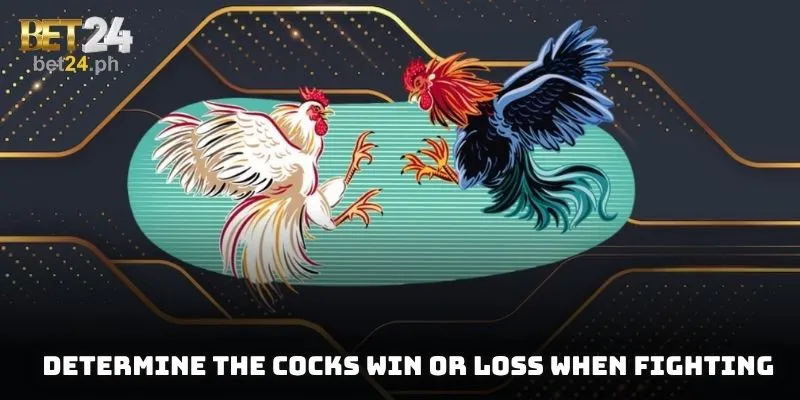Determine the cocks win or loss when fighting