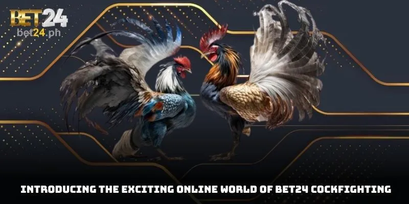Introducing the exciting online world of BET24 Cockfighting