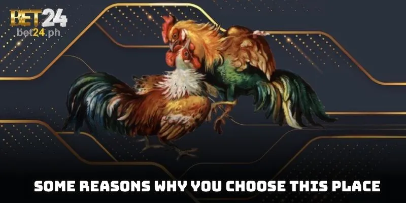 Some reasons why you choose this place