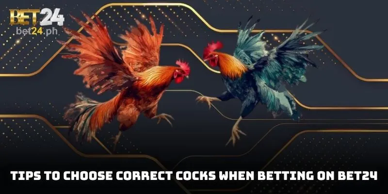 Tips to choose correct cocks when betting on BET24